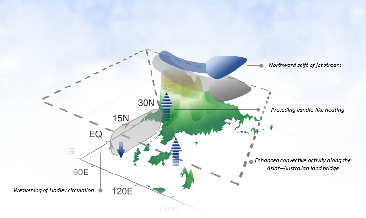 Role of precession on the monsoon transition