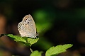 01-20-2-D3B_3759