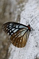 06-15-2-D3A_1657