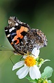 06-21-2-D3A_6114